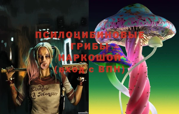 крисы Липки