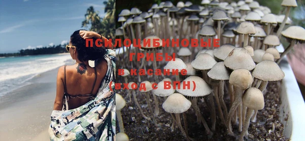 эйфоретик Лиски
