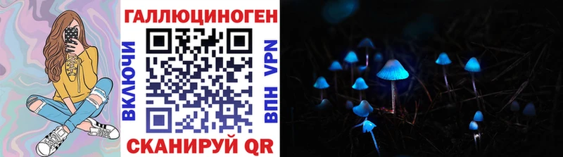 Галлюциногенные грибы GOLDEN TEACHER  darknet наркотические препараты  Пойковский 