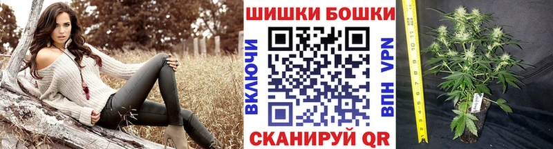 Каннабис конопля Пойковский